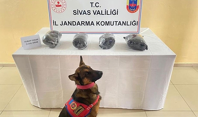 Otomobilden uyuşturucu çıktı