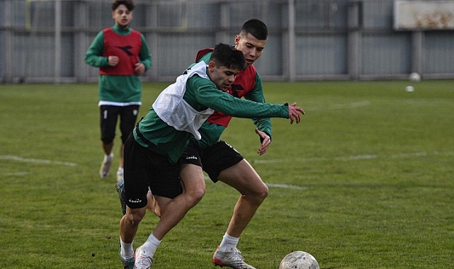 Timsah tempo çalıştı