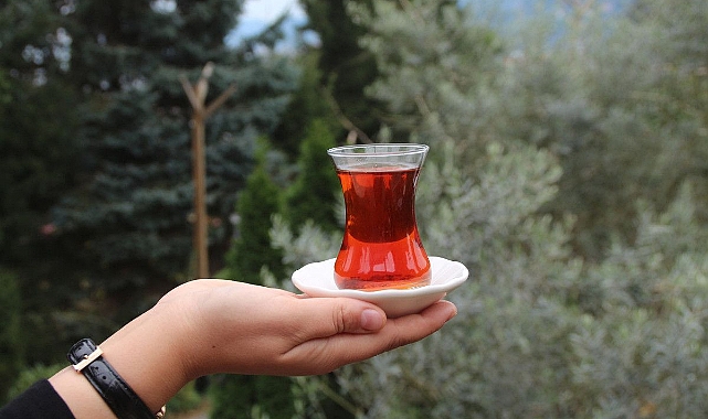 'Türk çay kültürü' UNESCO'da