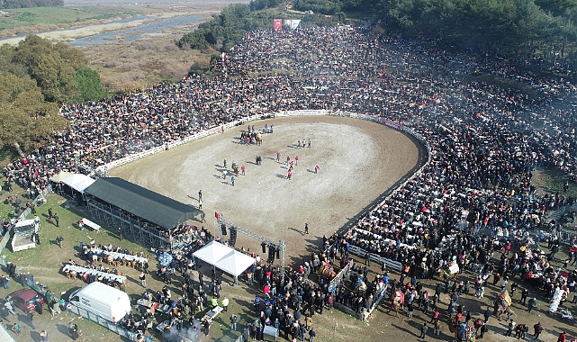 41. Uluslararası Efes Selçuk Deve Güreşleri Festivali sona erdi