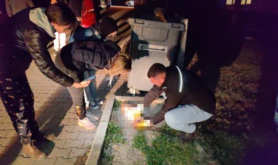 Aylardır baktığı 6 kediden 5'i öldürüldü, 1'i kayboldu