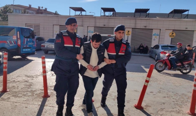 Bursa'da köpekleri vuran şahıs tutuklandı