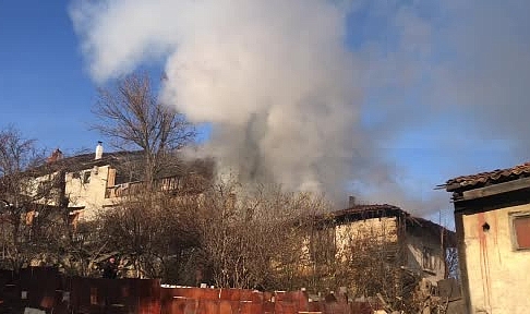 Canını hiçe sayıp kuşlarına koştu
