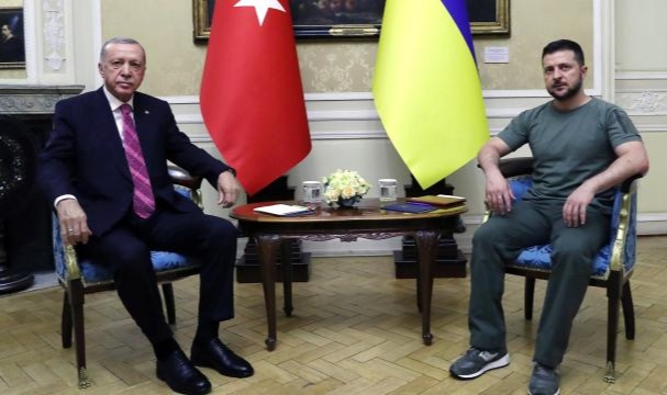 Erdoğan ve Zelenskiy'den kritik görüşme