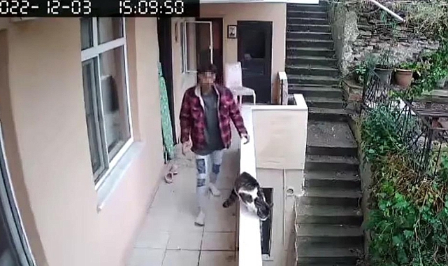 Evden kaçan kediyi yumrukladı!