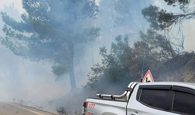 Hatay'daki orman yangını kontrol altında