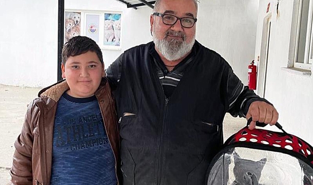 Kedinin midesindeki iğne operasyon ile alındı