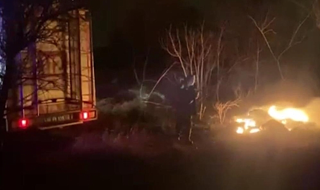 Kırmıtlı Kuş Cenneti'nde alevler yükseldi