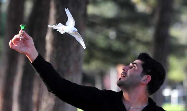 'Ponçik', sahibi ile çarşı, pazar, AVM geziyor