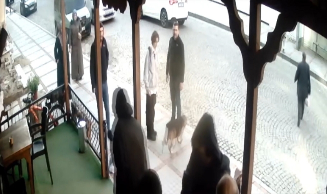 Sahipsiz köpeğe sopayla saldırdı