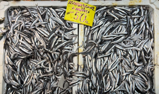 Tezgahlarda hamsi bolluğu yaşanıyor