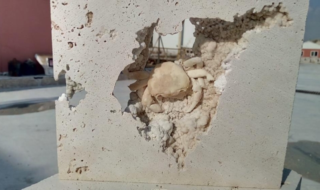 Traverten bloklarından milyonlarca yıllık hayvan fosilleri çıktı