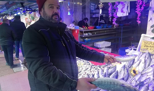 Ucuzlayan hamsinin fiyatı tekrar cep yakıyor