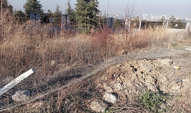 Üniversiteli genç kız trafik kazasında yaşamını yitirdi