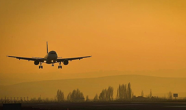 Yolcu uçağı piste giren tavşana çarptı
