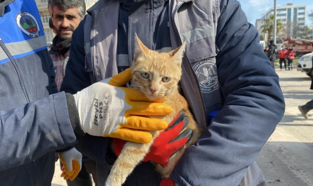 104 saatin ardından bir can daha kurtarıldı