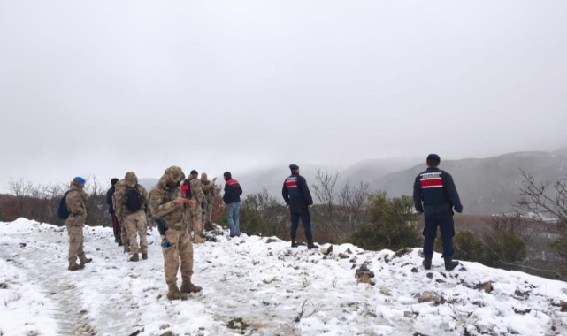 Bursa'da günlerdir kayıp olan hayvanları jandarma buldu