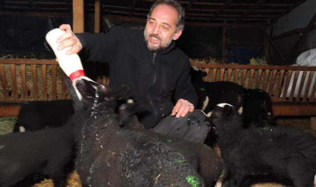 Bursa'da kuzular için sabaha kadar doğum nöbeti