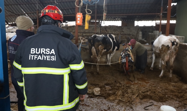 Bursa itfaiyesi gece yangında gündüz ahırda