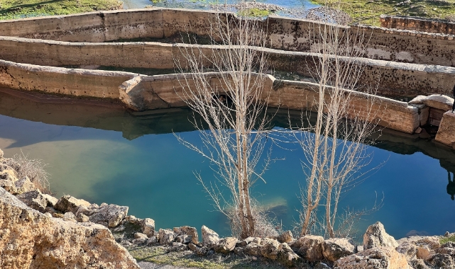 Deprem sonrası yükselen çay normale döndü
