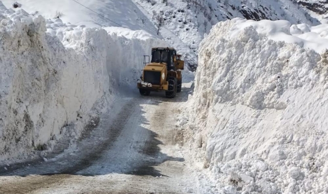 Doğu'ya çığ düştü: Yerleşim yerlerinin yolu kapandı