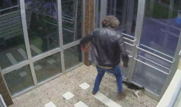 Kediyi tekmeleyen saldırgan tutuklandı