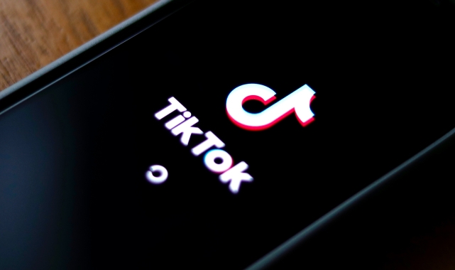 O ülke TikTok'u yasakladı!