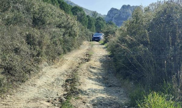 Ormanda cansız bedeni bulunmuştu: Yeni gelişme