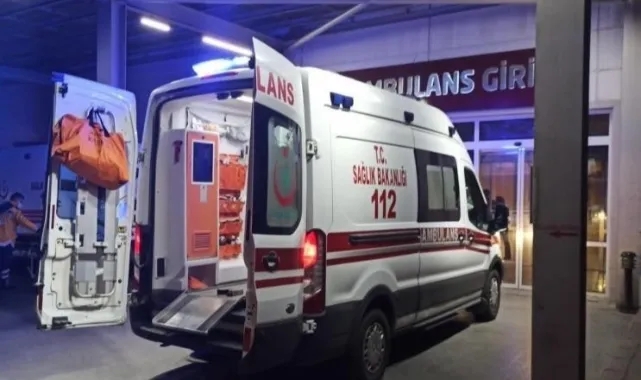 Ağabeyini göğsünden bıçaklayarak öldürdü