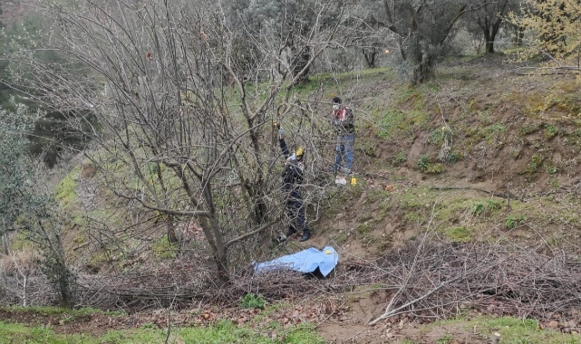 Ağaçtan düşen çiftçiden acı haber