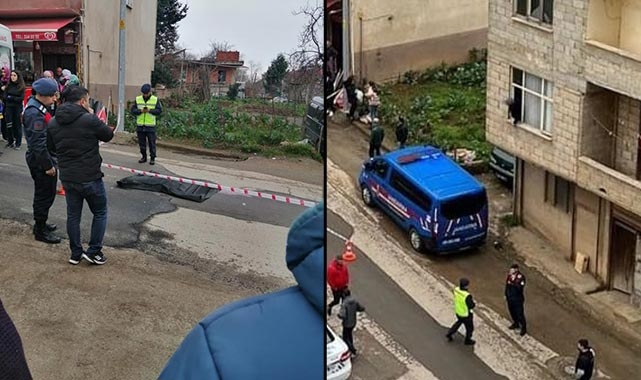 Aniden yola fırlayan küçük çocuk kamyonetin altında can verdi