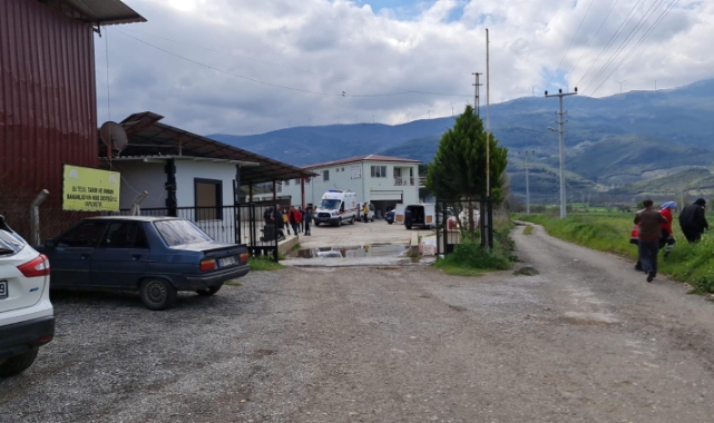 Çiftlikte yem karma makinesine düşüp öldü