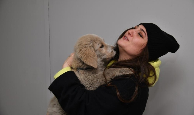 Enkaz altından kurtarılan köpek Trabzon'da yeni yuvasına kavuştu