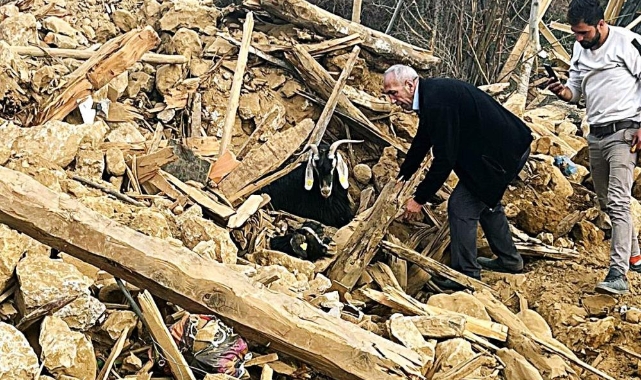 Enkazdan 637 saat sonra 2 keçi canlı çıkarıldı