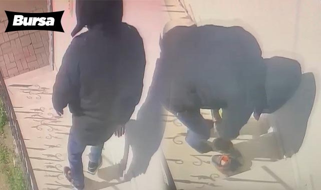 Güvenlik kameralarını izleyince şoke oldu