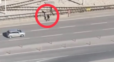 İstanbul Yolu Caddesi'nde yok artık dedirten hırsızlık