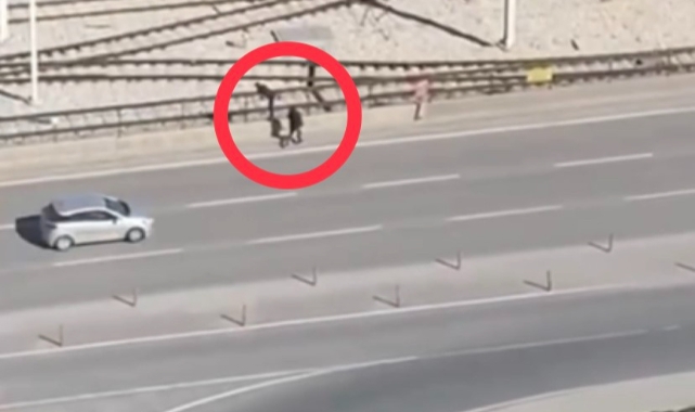İstanbul Yolu Caddesi'nde yok artık dedirten hırsızlık