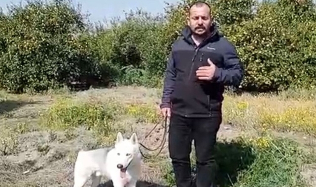 Konteyner almak isterken 60 bin TL dolandırıldı