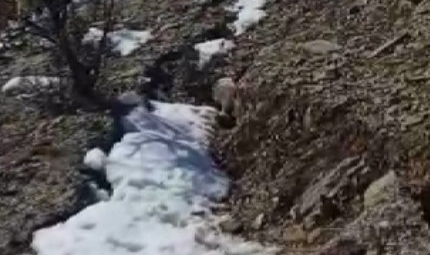 Metrelerce fay kırığı ortaya çıktı