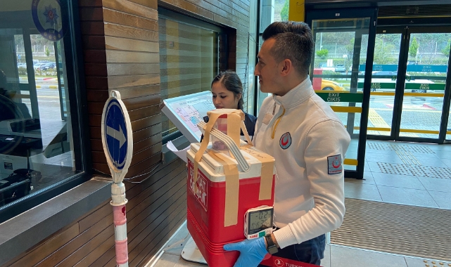 Organları 3 hastaya umut oldu