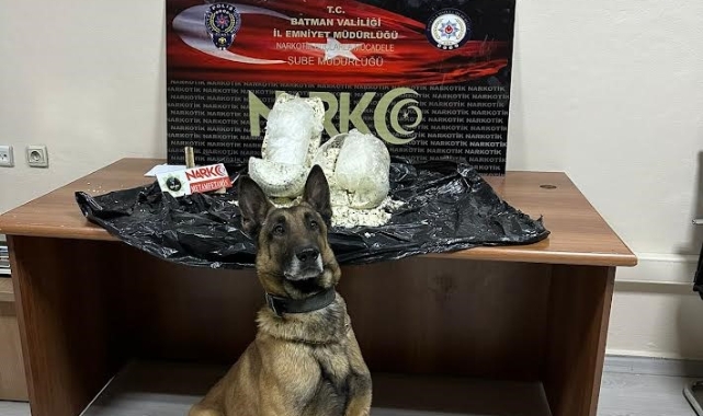 Peynir bidonundan binlerce liralık zehir çıktı