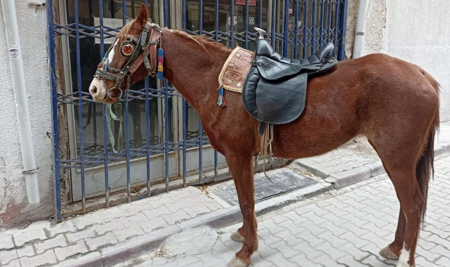Sarhoş halde ata binip ortalığı birbirine kattı