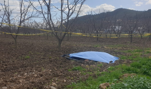 Tarlada ceset şoku!