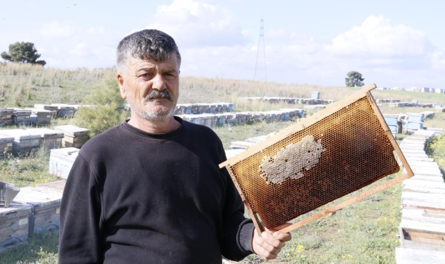 Vicdansız hırsızlar 700 adet bal peteğini çaldı, arıları talan etti