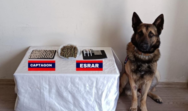 Zehir tacirini 'Aşir' yakaladı