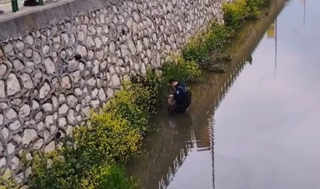 Bursa'da dereye düşen köpeğin imdadına itfaiye yetişti