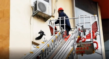 Bursa'da karga kurtarma operasyonu