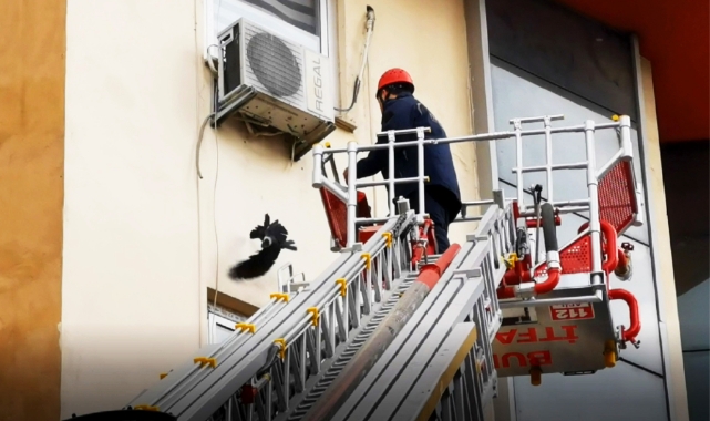 Bursa'da karga kurtarma operasyonu