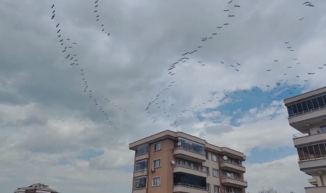 Bursa semalarında leyleklerin dansı büyüledi