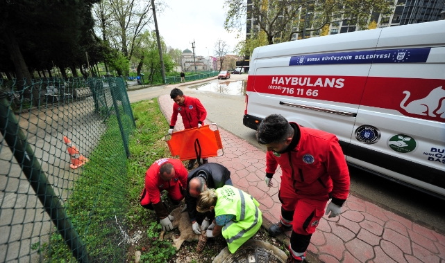 Bursa'ya 'Haybulans' geliyor